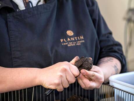 Open house at Maison Plantin Truffes