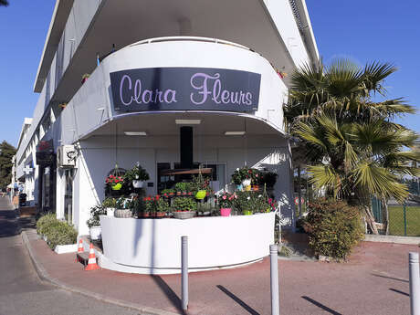 Clara Fleurs
