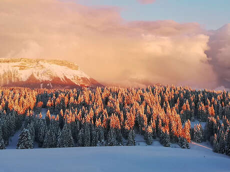 Tour des Bauges en raquettes liberté