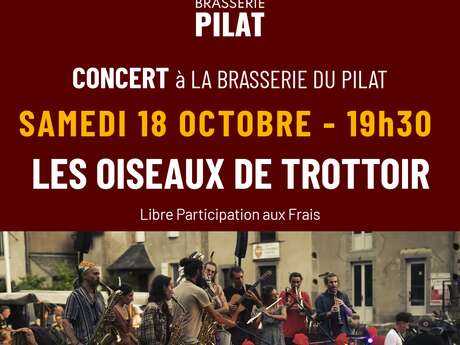 La Brasserie du Pilat - Concert - Les Oiseaux de Trottoir