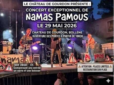 Concert des Namas Pamous
