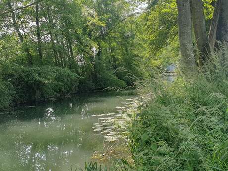 Walk - Molière and Vial marshes