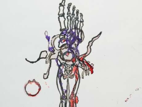 Pavel Schmidt, Anatomie - Anomalie