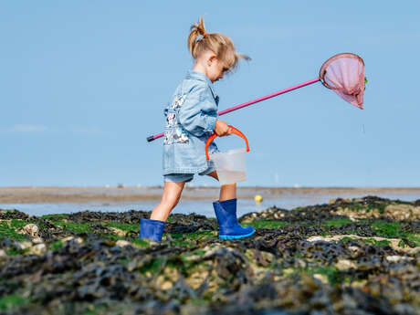 Coquillages et crustacés - Visite découverte