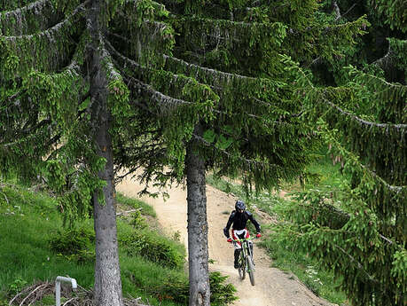 L'Arpette (DH)