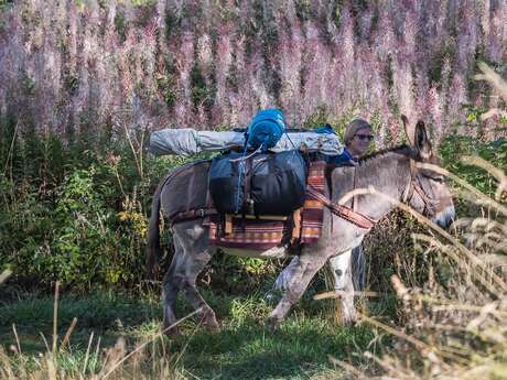 "Séolanes Haut Verdon" donkey rental