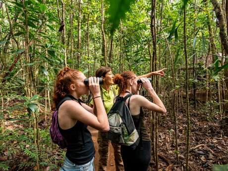 Birdwatching in the Blue Provincial Park - Caledonia Birds