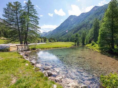 Trail N°08 - Le Lauzet