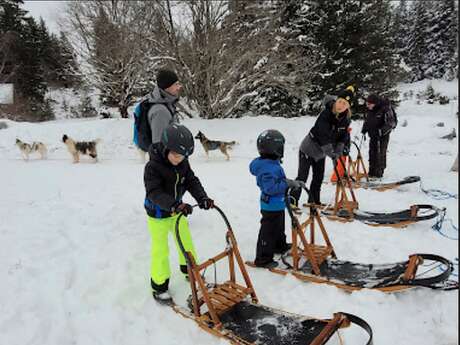 Musher kid, école de chiens de traîneaux