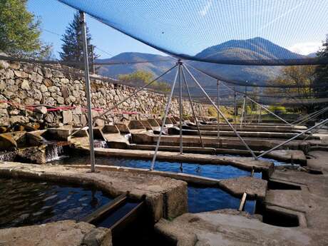 Trout Aquaculture Farm of Aston