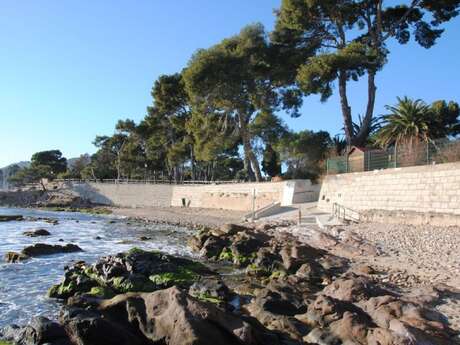 Plage des Pins Penchés