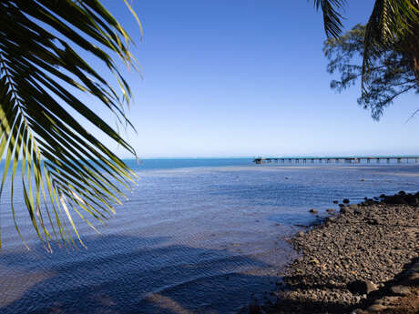 TEKEHANI LODGE MOOREA - Fare Hani