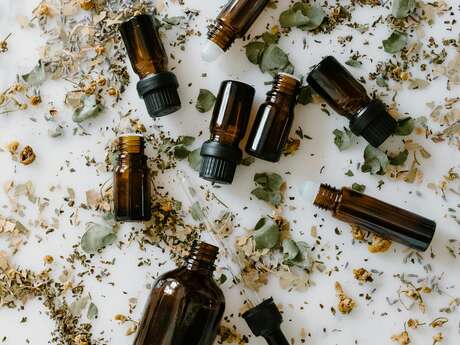 Journées Nationales de la Géologie : Rendez-vous aux jardins