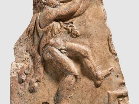 Visite flash de l'exposition temporaire - Satyres, sérieux s'abstenir !