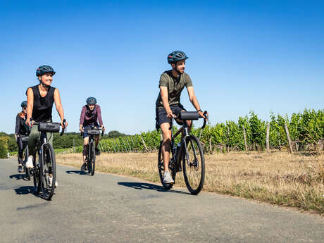 Circuit Gravel / Bikepacking - Angers, entre Loire et coteaux du Layon