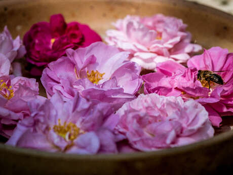 Visite le val des roses