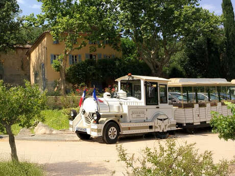 Little vineyard train tour at Le Pradet