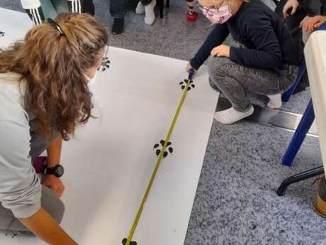 Atelier découverte du loup