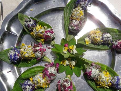 Stage plantes sauvages comestibles