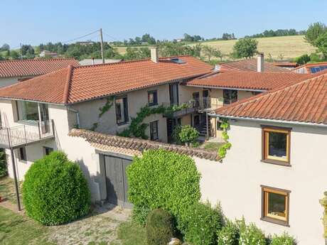 Gîte - La chouette du vert