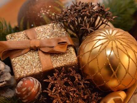 Marché de Noël, animations, patinoire et spectacles | Noël scintille