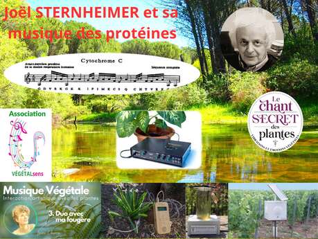 Découverte de la musique par les plantes