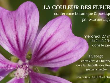Conférence botanique et poétique : la couleur des fleurs