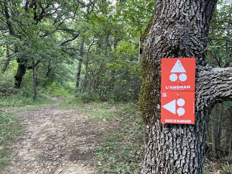 VTT n°18A - Enduro Baisse de Blanchard