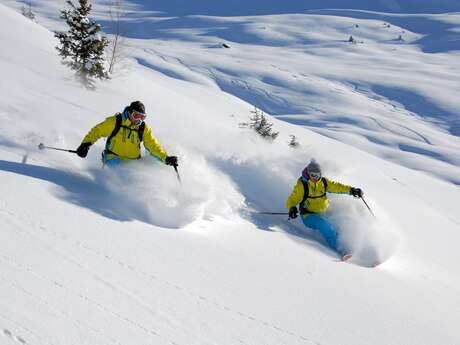 Group or private heliskiing with Adrenaline