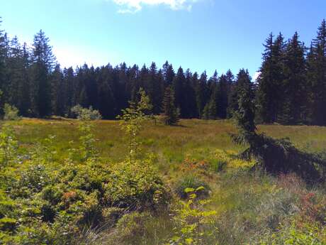 Les Saisies's lake