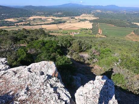 Mont Major