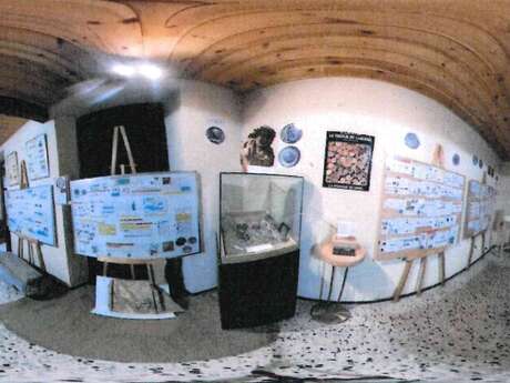 Exposition “De Crésus à l’Euro, notre  monnaies un voyage archéologique”