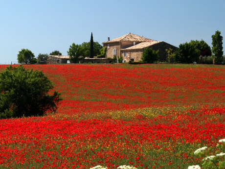 Gîte du Couchant G32219