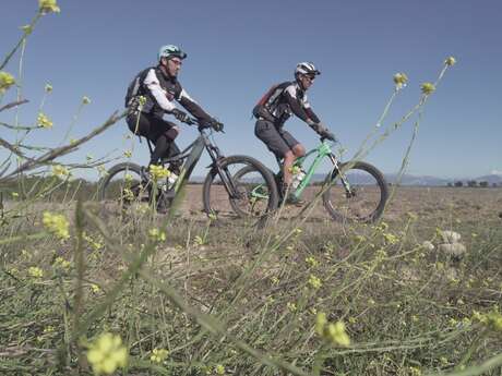 Site VTT FFC - Provence Verdon - Circuit 35 - Bleu - Esparron-de-Verdon