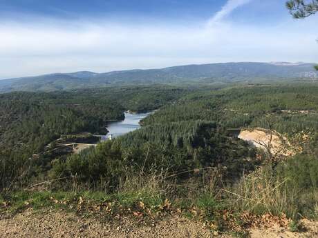 Promenade : La Forêt Royale - Saint-Paul-en-Forêt
