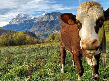 Visite de la Ferme de Ballancy