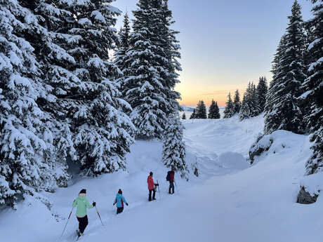 Goûter dans l'igloo et aventure en raquettes