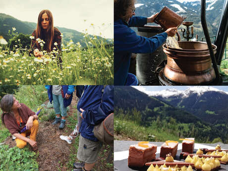 Discovery day "Around the plants" in Sarreyer