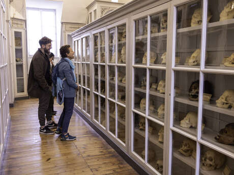 Visite guidée de 45 min à l'Ancienne école de médecine navale