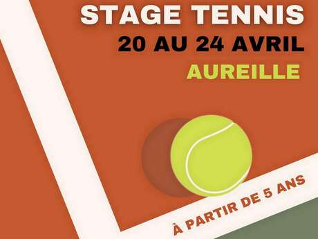 Entdeckung des Tennisspiels