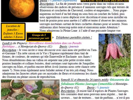 Découverte des fabuleuses plantes sauvages comestibles