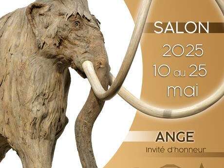 Salon d'Art Contemporaine Croissy Art Actuel