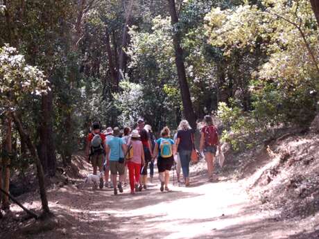 Natur- und Wellness-Spaziergang in Giens