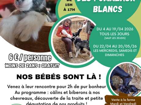 Un printemps à la Ferme des Pommeaux Blancs