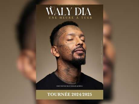 Humour : Waly Dia, Une heure à tuer | Théâtre Galli