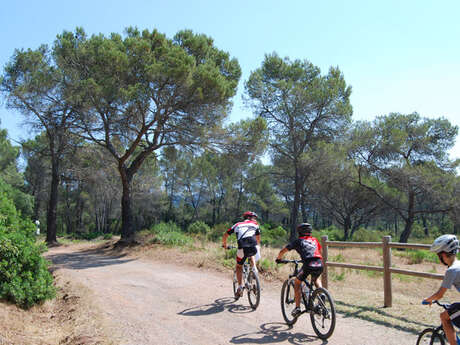 Circuit VTT : De la forêt de la Colle du Rouet au Défens