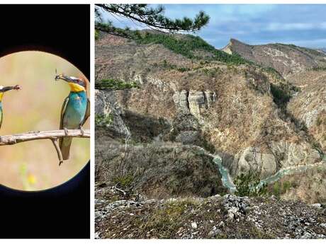 Rand-eau dans les Gorges du Vançon - Autres Versants
