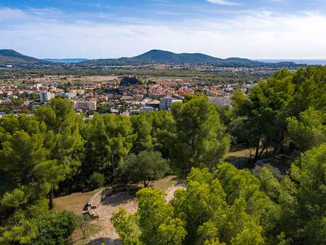 Waldpark von Thouars