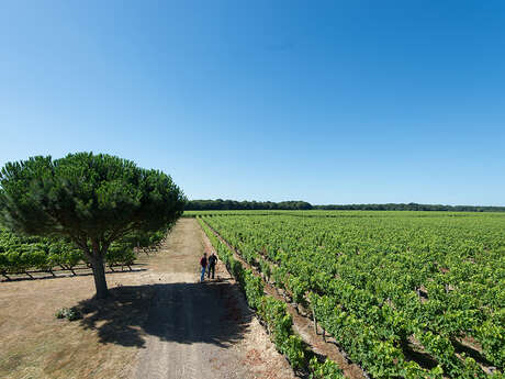 DOMAINE DES GIRAUDIÈRES