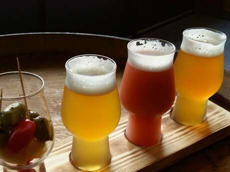 Visite et dégustation : du houblon à la chope